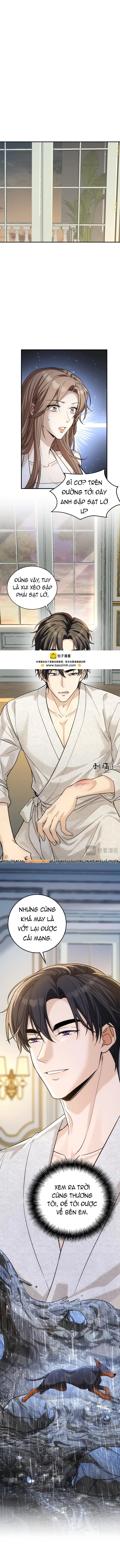 Vô Tình Kết Hôn Với Tổng Tài - Chapter 42 - Page 8