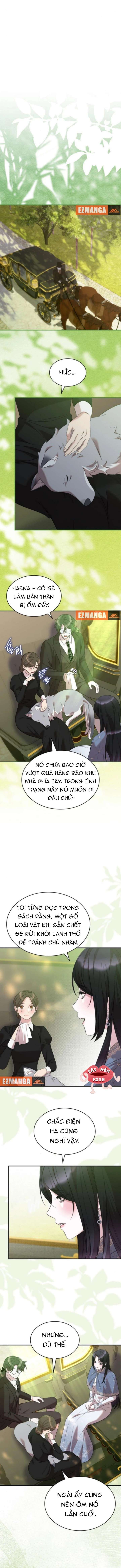 Vào Ngày Mà Chị Gái Tôi Qua Đời - Chapter 27 - Page 5