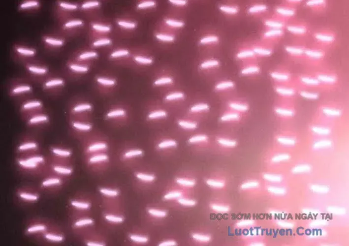 Lây Nhiễm - Làm Sóng Zombie - Chapter 15 - Page 141