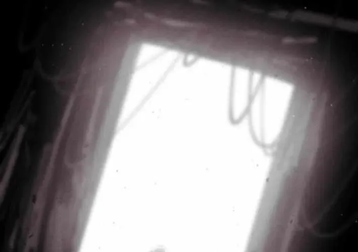 Lây Nhiễm - Làm Sóng Zombie - Chapter 15 - Page 24