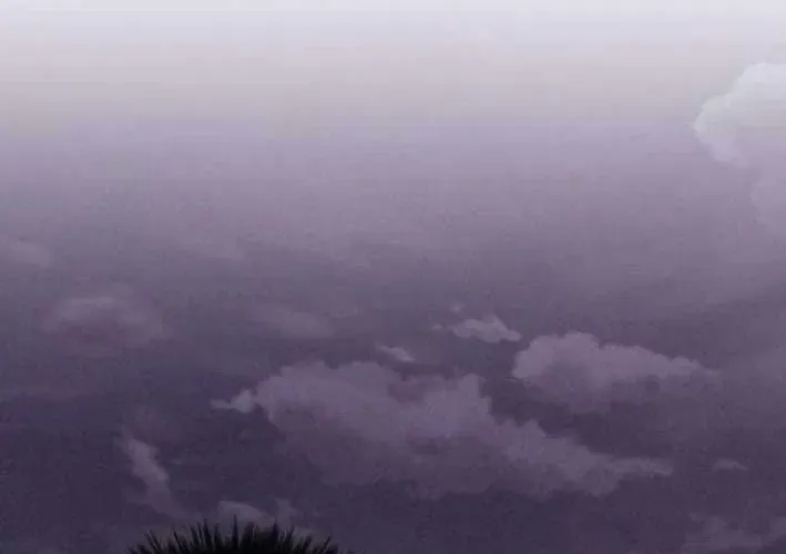 Lây Nhiễm - Làm Sóng Zombie - Chapter 9 - Page 81