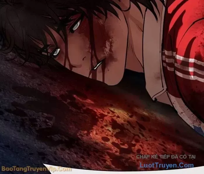 Hoán Đổi Diệu Kỳ - Chapter 582 - Page 5