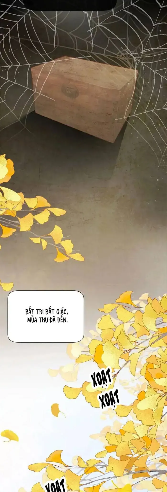 Mang Cả Siêu Thị Xuyên Không Về Nuôi Thừa Tướng - Chapter 64 - Page 13