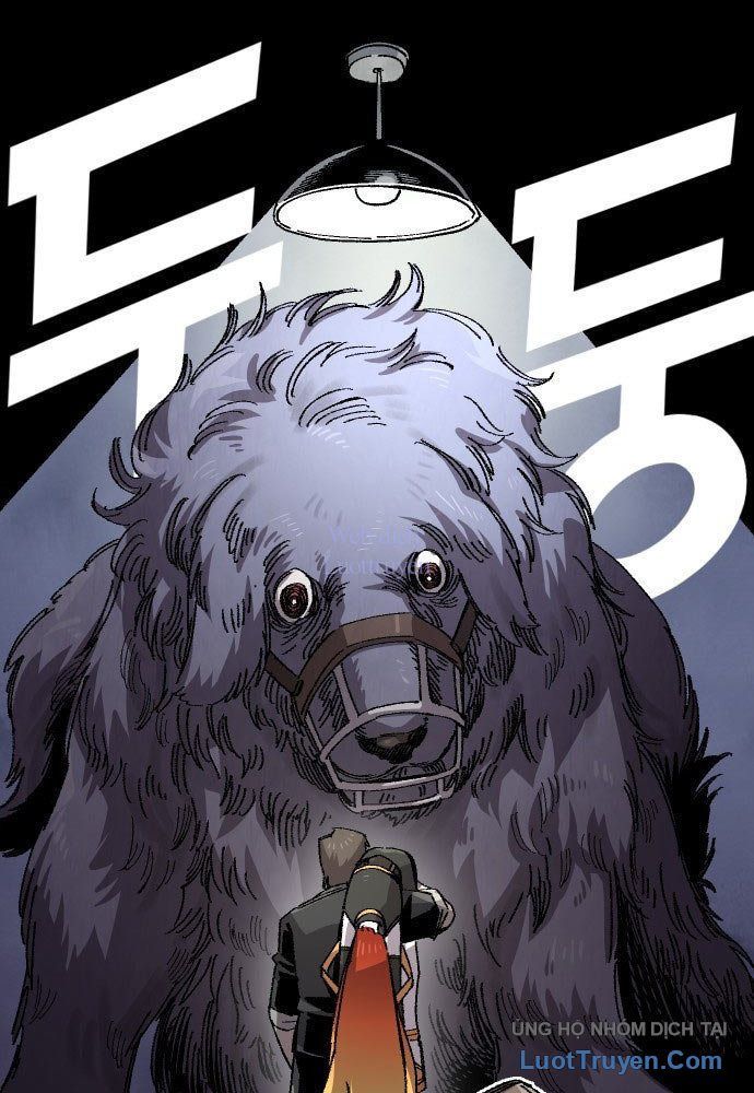 Sắp Xuất Ngũ Thì Isekai - Chapter 177 - Page 21