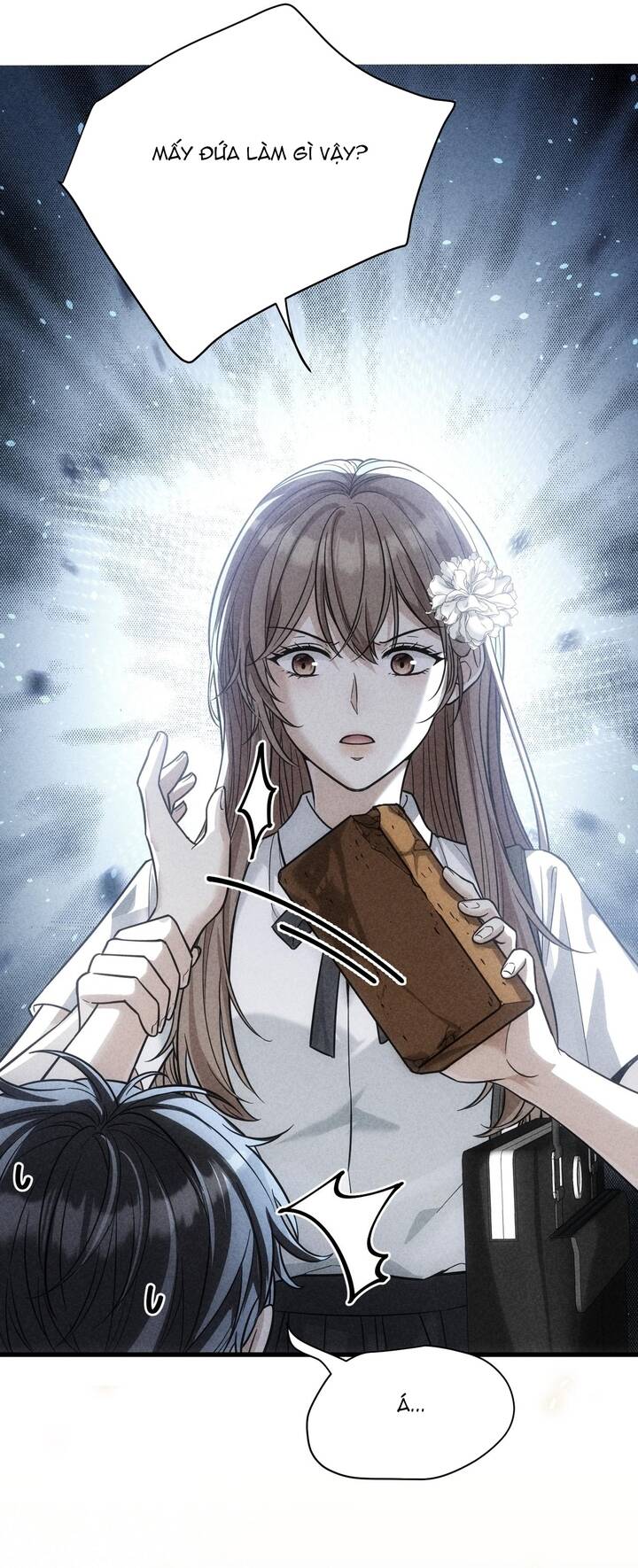 Vô Tình Kết Hôn Với Tổng Tài - Chapter 47 - Page 12