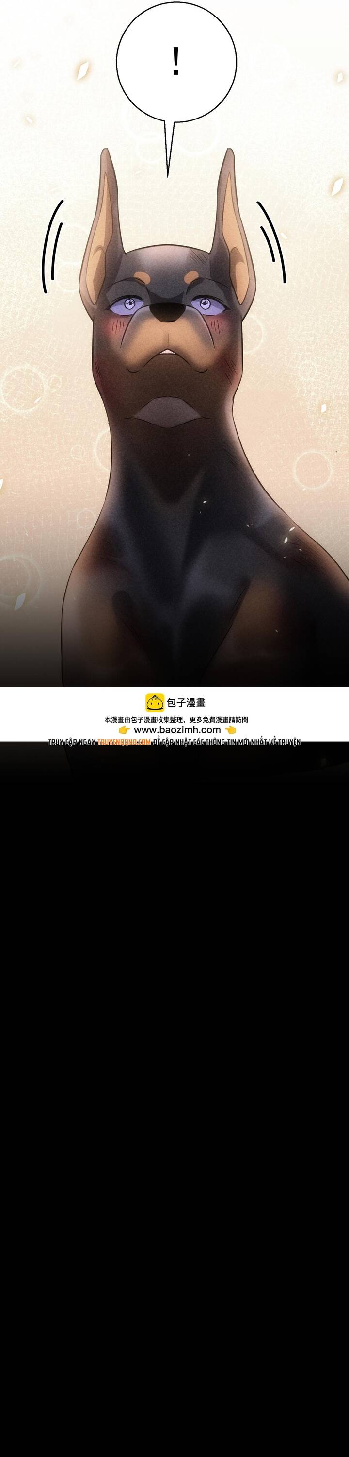 Vô Tình Kết Hôn Với Tổng Tài - Chapter 47 - Page 13