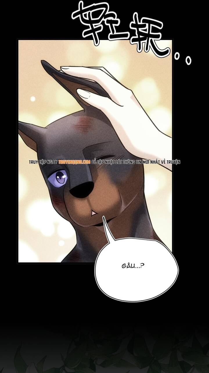 Vô Tình Kết Hôn Với Tổng Tài - Chapter 47 - Page 15