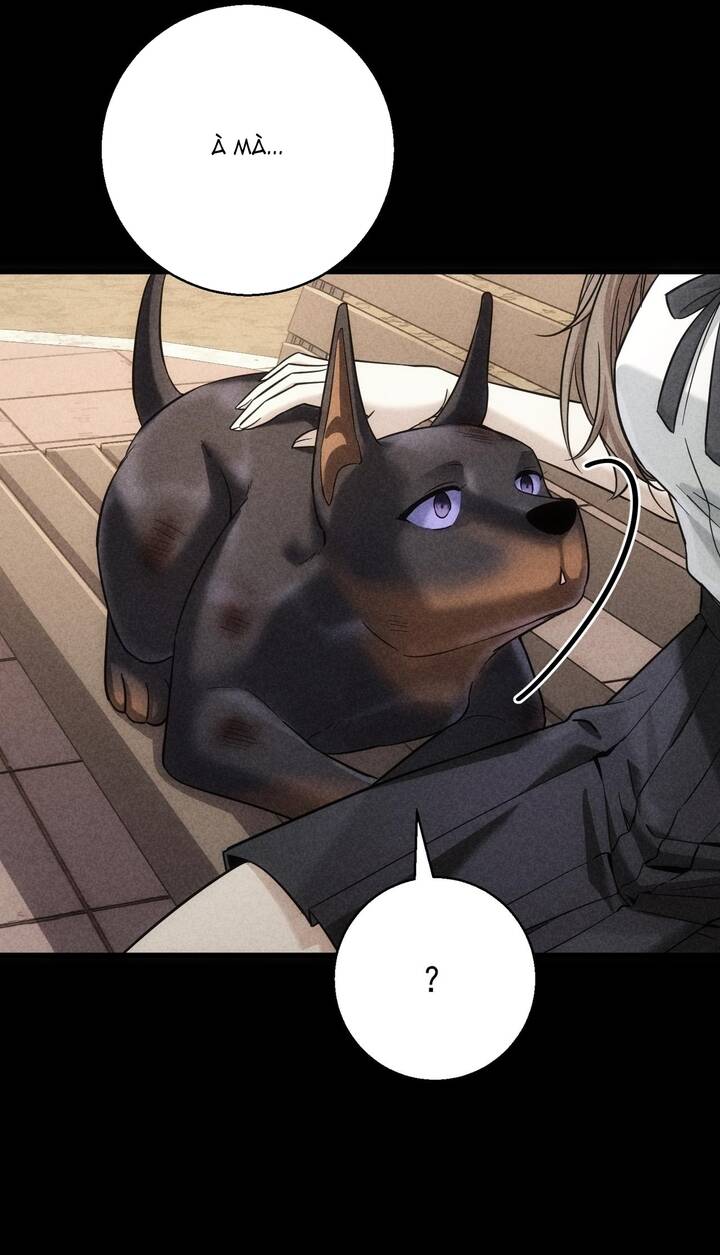 Vô Tình Kết Hôn Với Tổng Tài - Chapter 47 - Page 22