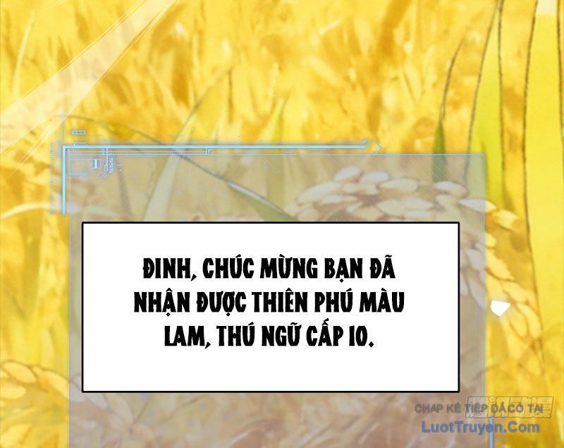 Người Khác Luyện Cấp Ta Tu Tiên, Tới Đại Thừa Kỳ Thì Rời Núi - Chapter 23 - Page 59