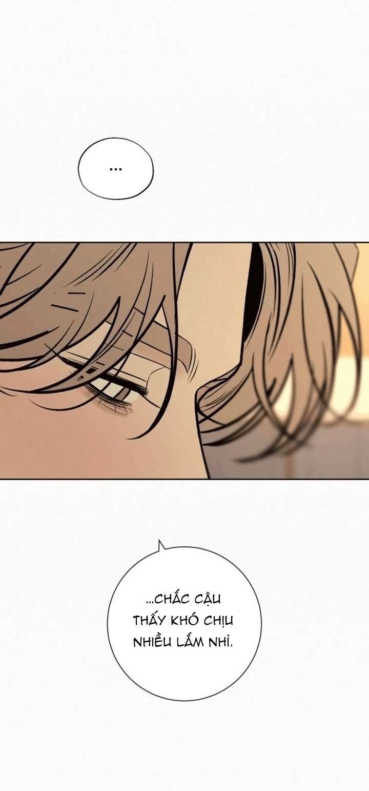 Kế Hoạch Tình Yêu Trong Sáng - Chapter 127 - Page 51