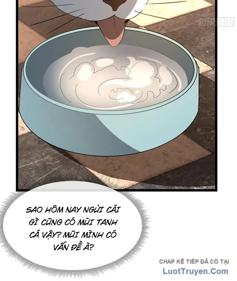 Phổ La Chi Chủ - Chapter 15 - Page 88