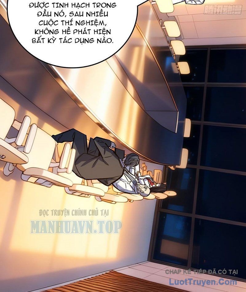 Mình Ta Tung Hoành Loạn Thế - Chapter 21 - Page 62