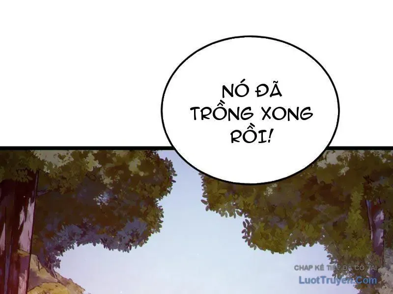 Vô Địch Bị Động Tạo Ra Tấn Sát Thương - Chapter 133 - Page 165