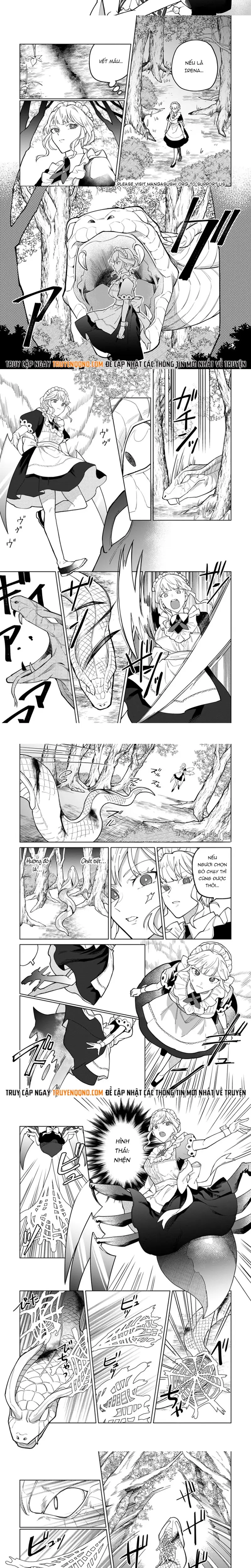 Yuusha Party Wo Tsuihousareta Shiro Madoushi, S Rank Boukensha Ni Hirowareru ~Kono Shiro Madoushi Ga Kikakugai Sugiru~ - Chapter 43 - Page 3