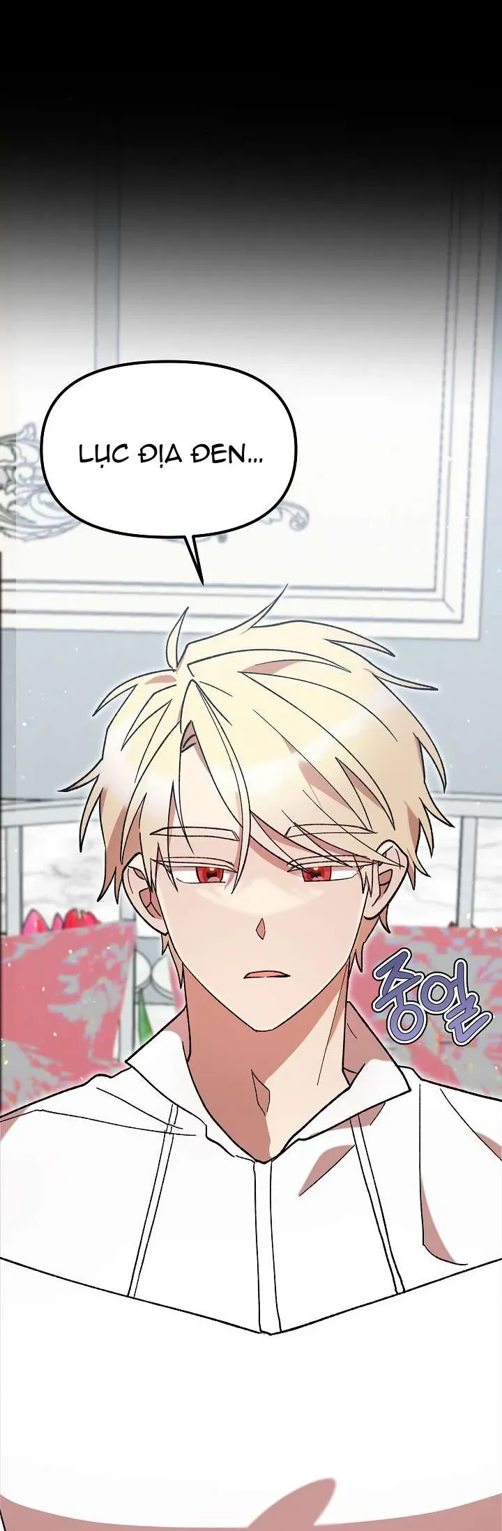 Tôi Đã Vô Tình Quyến Rũ Em Trai Của Nam Chính - Chapter 47 - Page 50