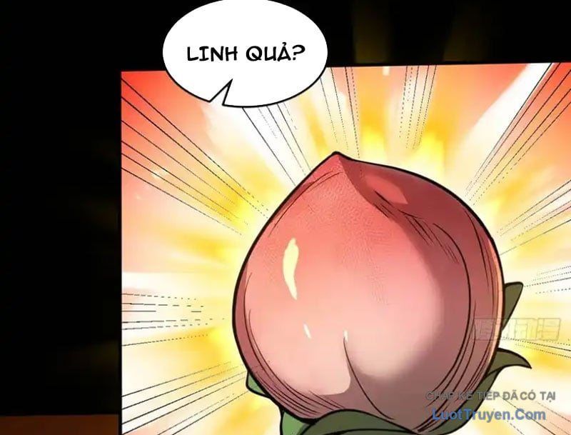 Người Khác Luyện Cấp Ta Tu Tiên, Tới Đại Thừa Kỳ Thì Rời Núi - Chapter 24 - Page 77