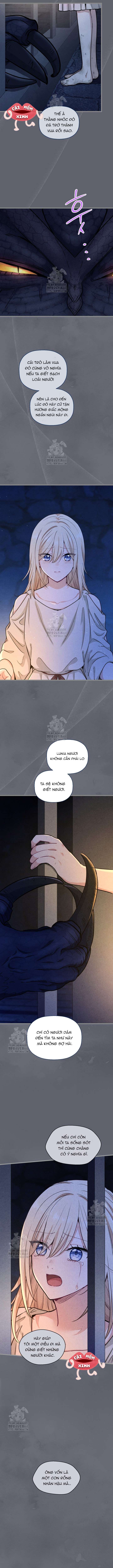 Bệ Hạ, Xin Hãy Quên Tôi Đi - Chapter 45 - Page 6