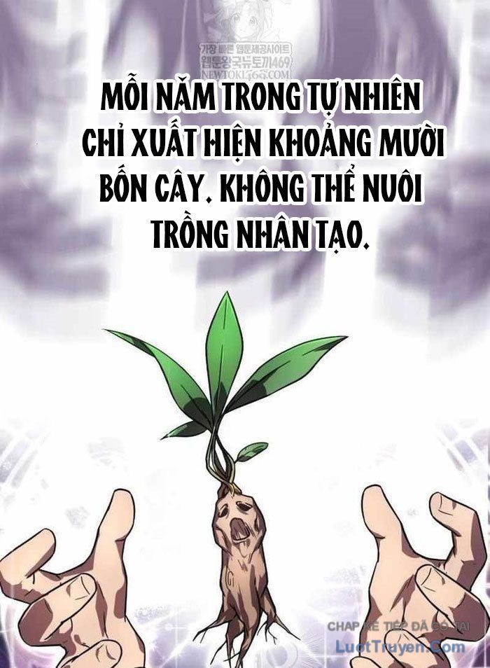 Pháp Sư Thiên Tài Phá Vỡ Giới Hạn - Chapter 36 - Page 12