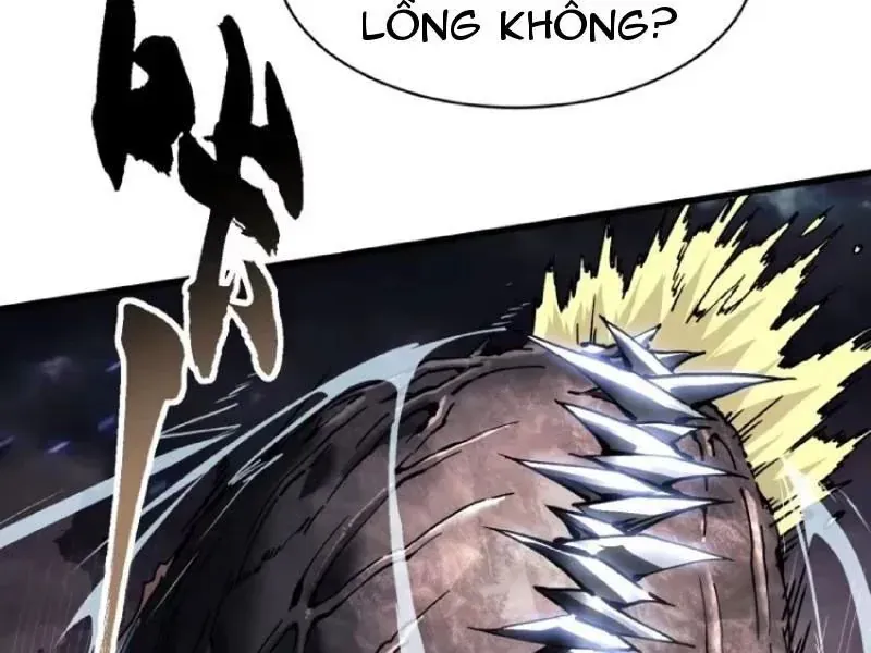 Cao Võ Tiến Hóa: Bắt Đầu Thức Tỉnh Quái Thú Chi Vương - Chapter 83 - Page 13