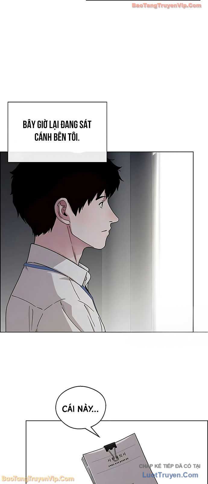 Người Đàn Ông Thực Thụ - Chapter 235 - Page 42