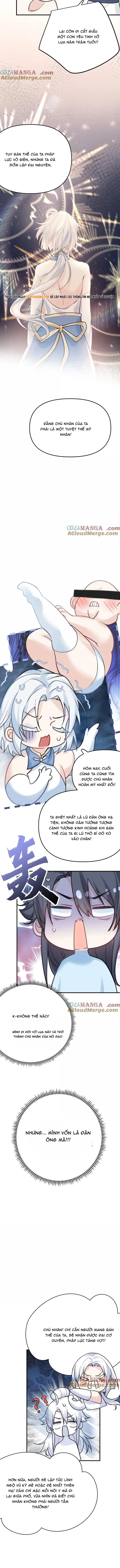 Ta Vô Địch Lúc Nào - Chapter 290 - Page 3