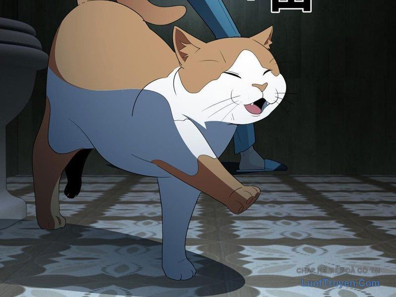 Phổ La Chi Chủ - Chapter 17 - Page 5