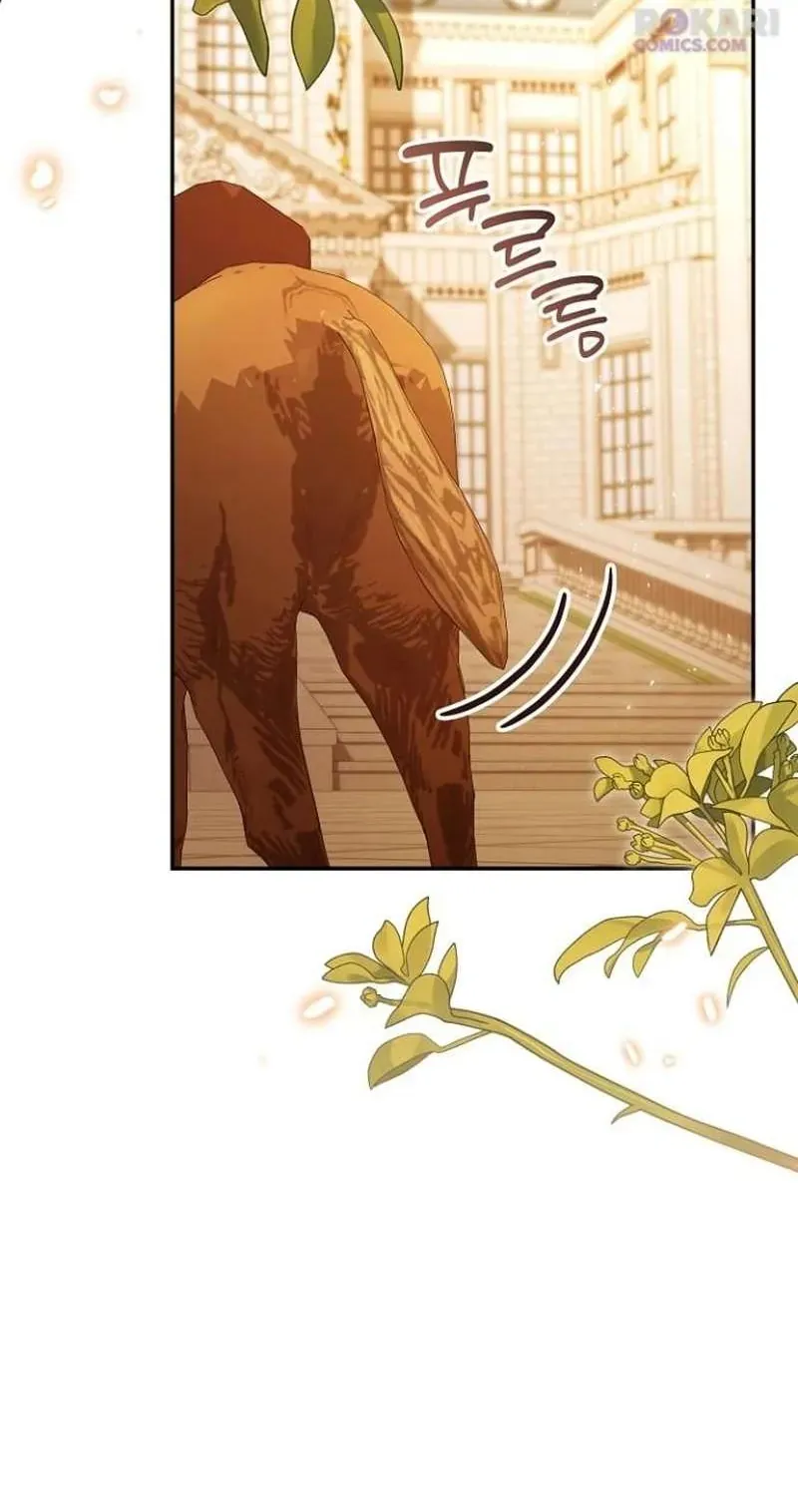 Cô Dâu Của Đại Công Tước Là Chiến Binh Địa Ngục - Chapter 38 - Page 28