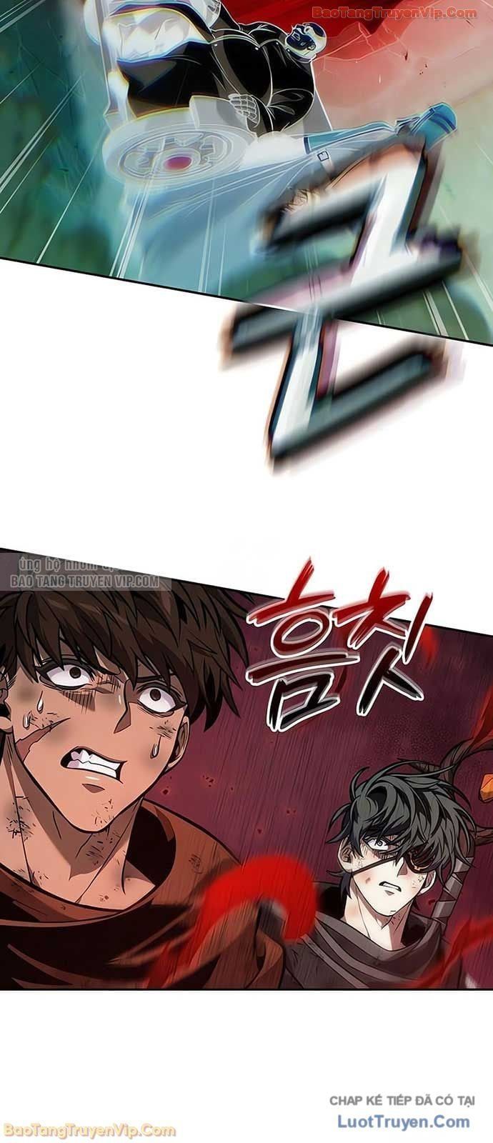 Mạo Hiểm Giả Cuối Cùng - Chapter 100 - Page 11