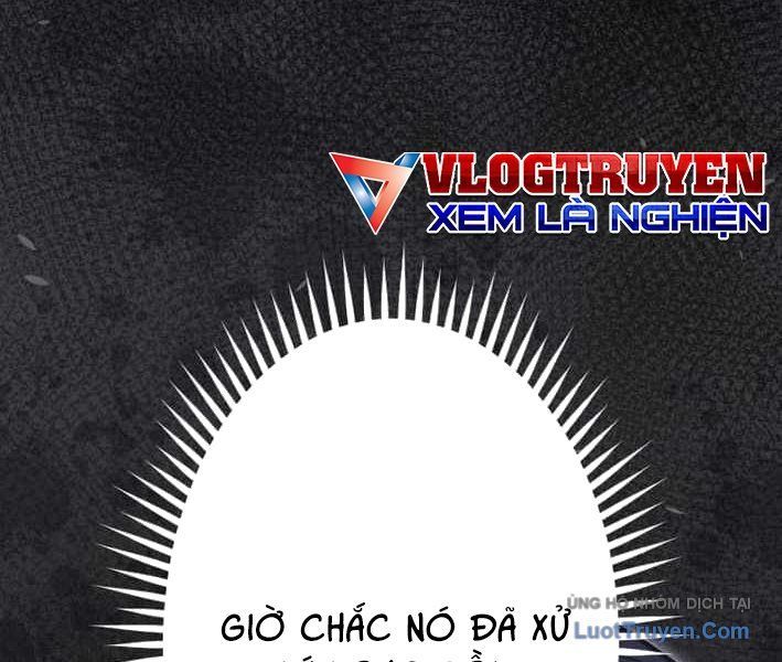 Tuyệt Thế Sát Thủ Hồi Quy Tại Học Viện - Chapter 11 - Page 22