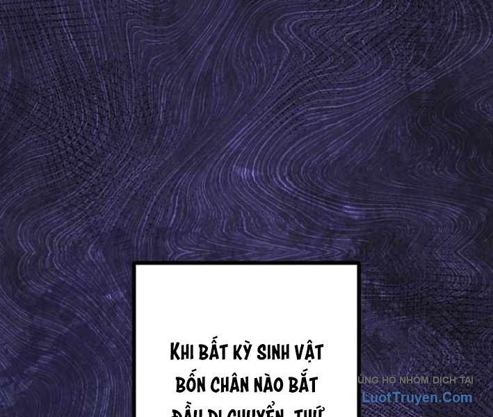 Tuyệt Thế Sát Thủ Hồi Quy Tại Học Viện - Chapter 11 - Page 64