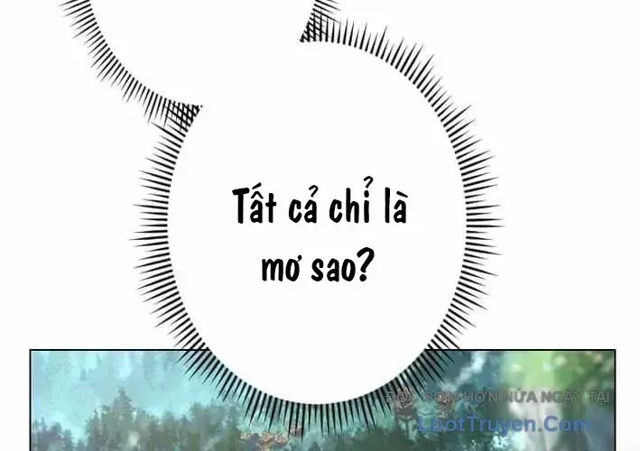 Tuyệt Thế Sát Thủ Hồi Quy Tại Học Viện - Chapter 3 - Page 19