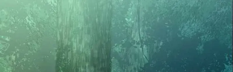 Tuyệt Thế Sát Thủ Hồi Quy Tại Học Viện - Chapter 5 - Page 185