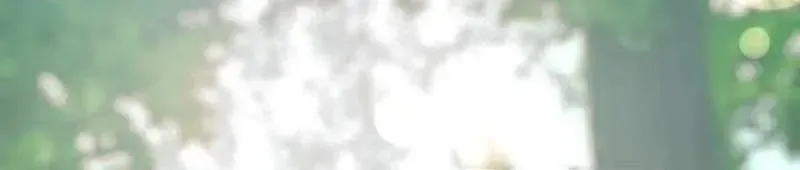 Tuyệt Thế Sát Thủ Hồi Quy Tại Học Viện - Chapter 6 - Page 195