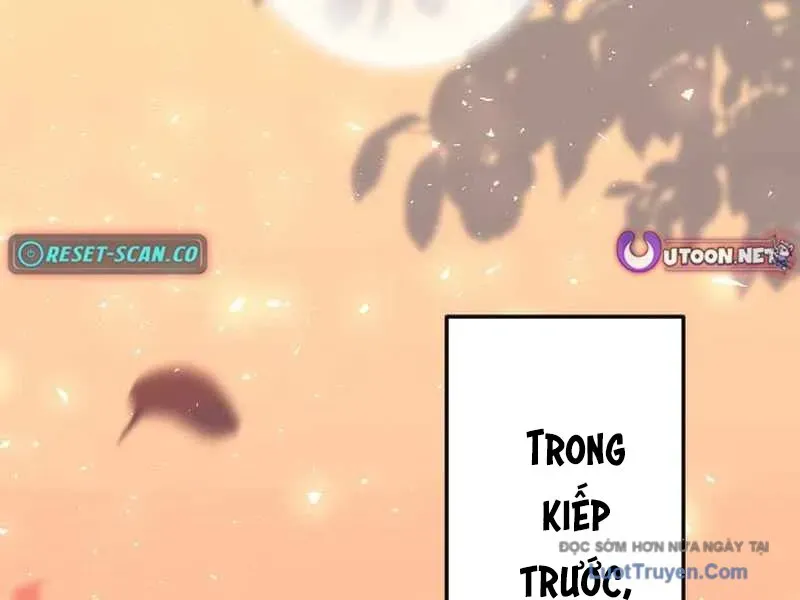 Tuyệt Thế Sát Thủ Hồi Quy Tại Học Viện - Chapter 7 - Page 244