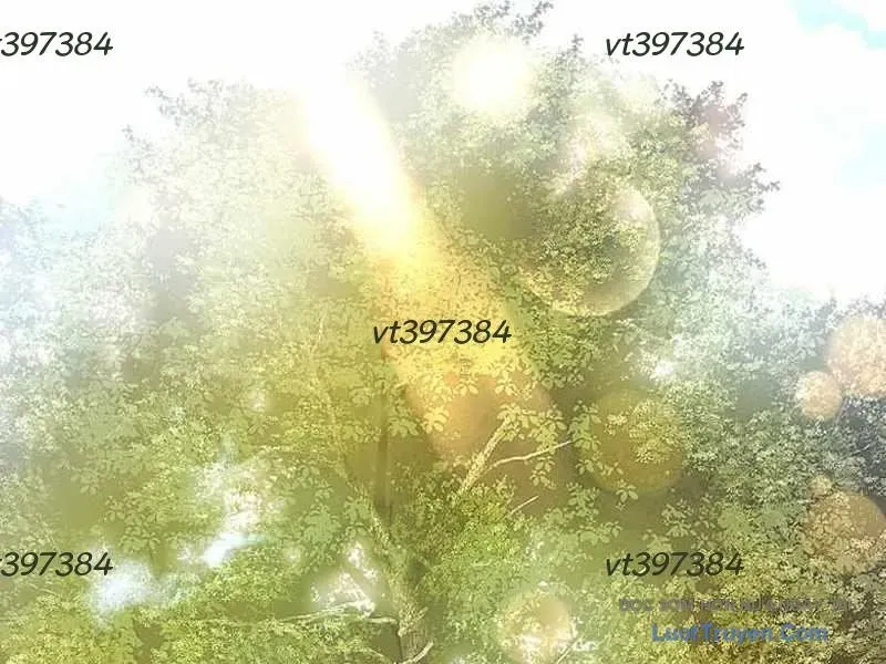 Tuyệt Thế Sát Thủ Hồi Quy Tại Học Viện - Chapter 7 - Page 9