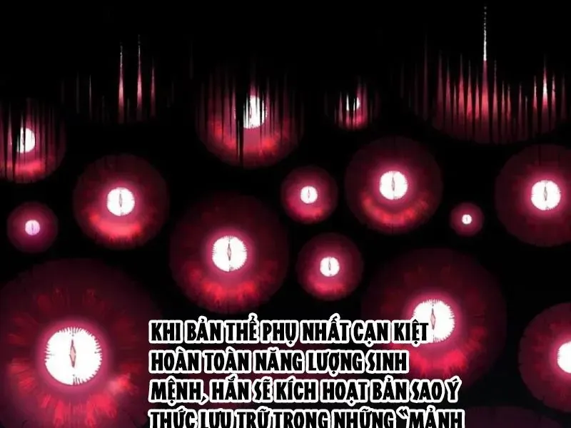 Cao Võ Tiến Hóa: Bắt Đầu Thức Tỉnh Quái Thú Chi Vương - Chapter 85 - Page 73