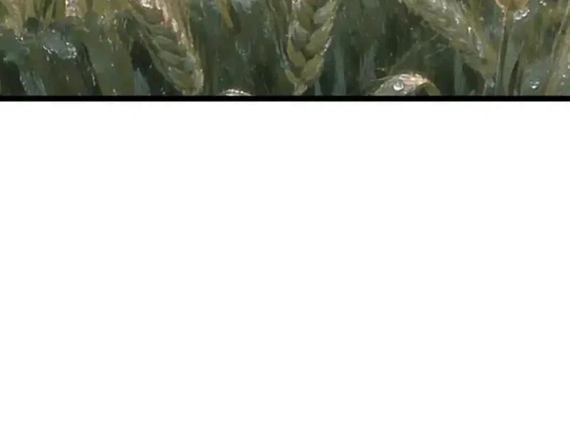 Phổ La Chi Chủ - Chapter 18 - Page 26