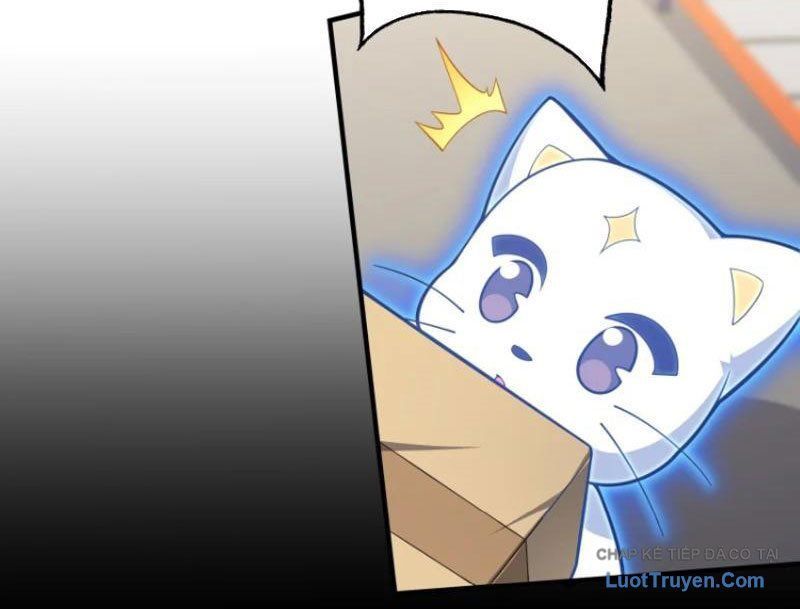 Tránh Ra, Ta Là Ma Pháp Thiếu Nữ! - Chapter 24 - Page 16