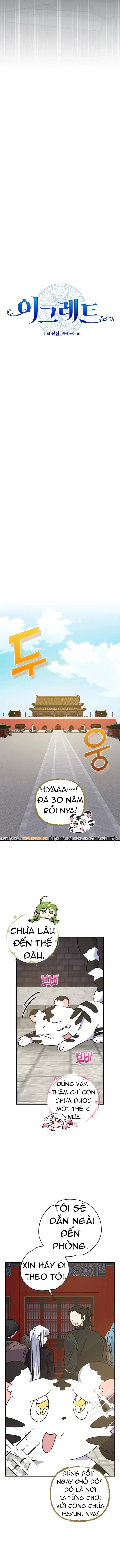 Nhà Hiền Triết Yigret - Chapter 104 - Page 3
