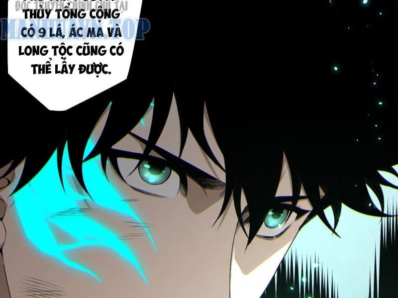 Thảm Họa Tử Linh Sư - Chapter 235 - Page 5