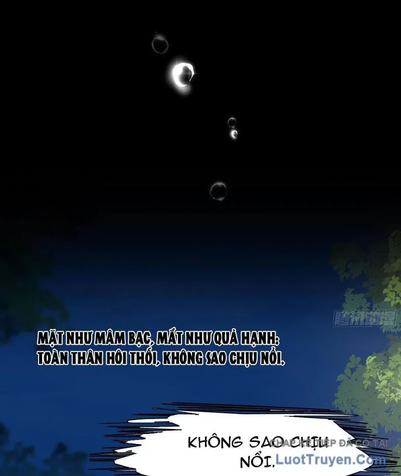 Võ Đại Lang Mạnh Nhất Tái Sinh Ở Thế Giới Thủy Hử - Chapter 14 - Page 31