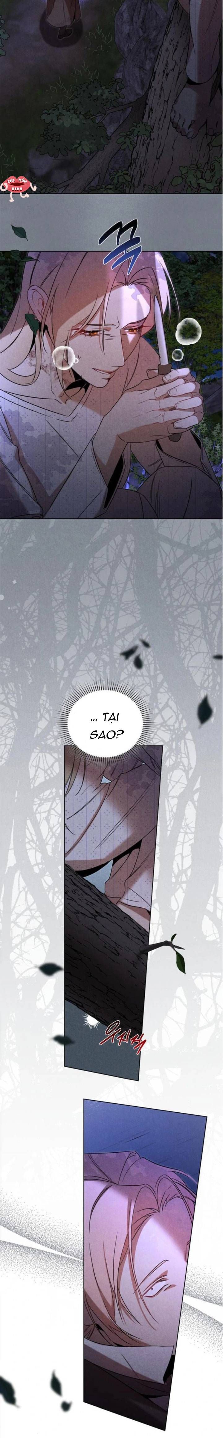 Nơi Đóa Hồng Vàng Úa Tàn - Chapter 21 - Page 21