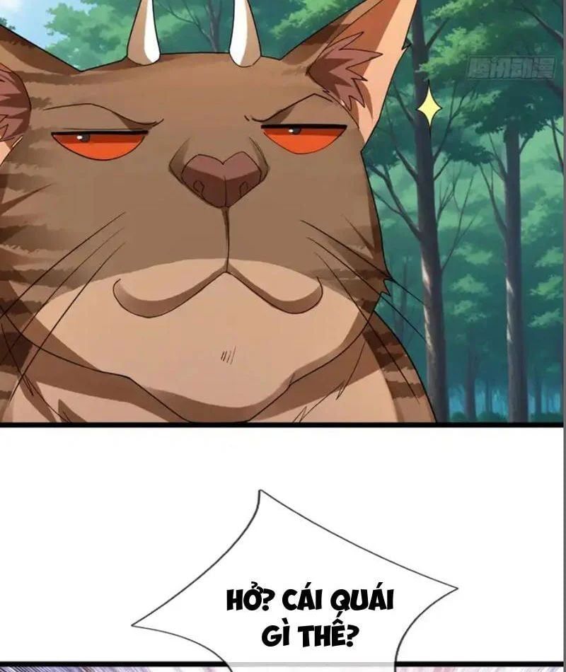 Tiên Làm Nô Thần Là Bộc, Đại Đế Làm Chó Giữ Nhà - Chapter 83 - Page 73