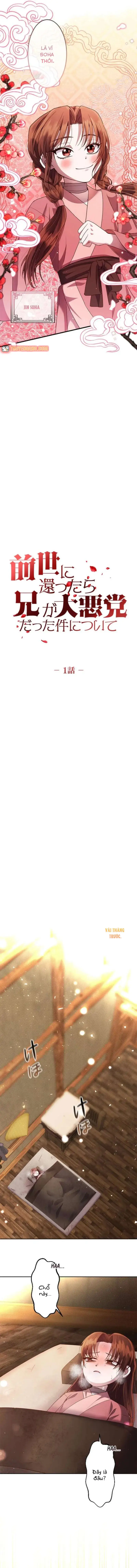 Trùng Sinh Về Kiếp Trước, Ta Phát Hiện Anh Trai Là Kẻ Đại Ác Nhân - Chapter 1 - Page 7