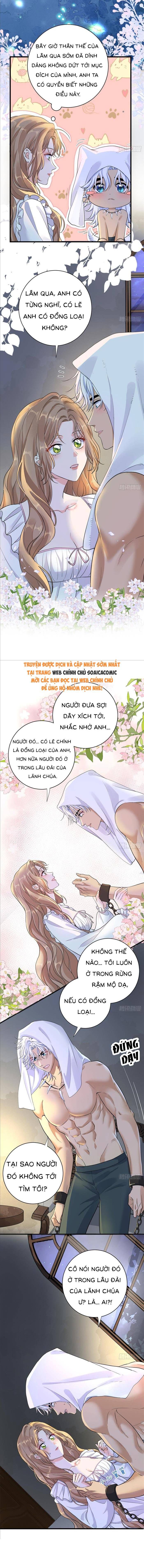 Xuyên Đến Dị Giới Toàn Trai Đẹp - Chapter 44 - Page 3