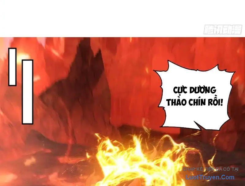 Nữ Phụ Tu Tiên Từ Chối Kịch Bản Pháo Hôi - Chapter 29 - Page 44