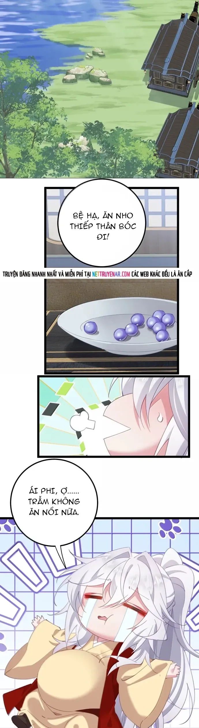 Phơi Bày Thân Phận Nữ Của Hoàng Đế - Chapter 73 - Page 17
