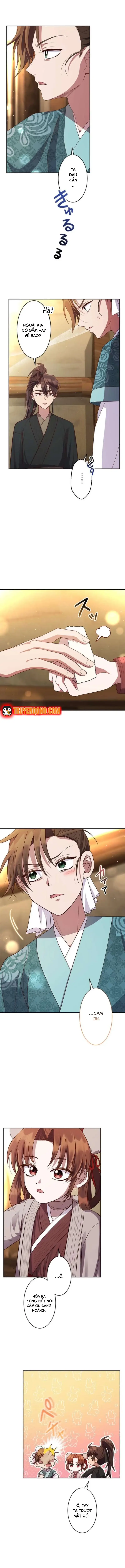 Trùng Sinh Về Kiếp Trước, Ta Phát Hiện Anh Trai Là Kẻ Đại Ác Nhân - Chapter 2 - Page 11