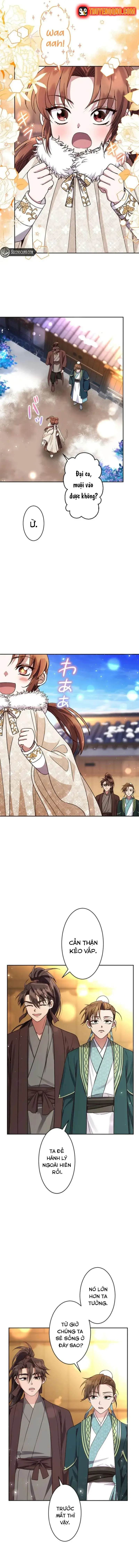 Trùng Sinh Về Kiếp Trước, Ta Phát Hiện Anh Trai Là Kẻ Đại Ác Nhân - Chapter 3 - Page 13