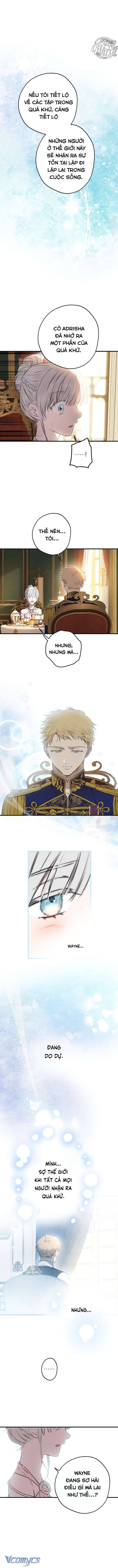 Những Nhân Vật Mạnh Nhất Thế Giới Ám Ảnh Tôi - Chapter 142 - Page 8